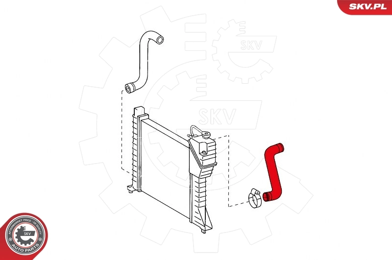 Radiator Hose